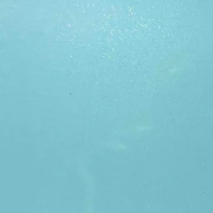 Miami Blue Color PPF TPJ-45